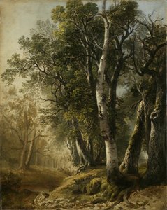 Alberi lungo il ruscello, Kingston, N.Y., 1846